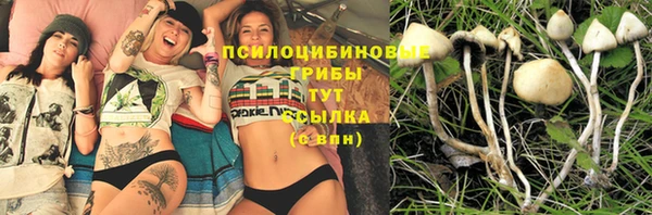 2c-b Белоозёрский